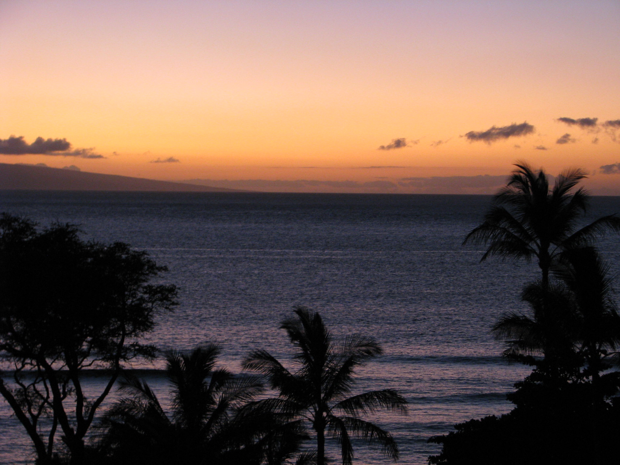 Affiliate Marketing for Ecommerce - Maui